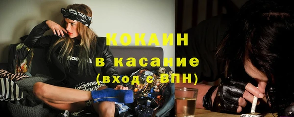 молекула духа Осташков