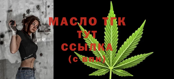 молекула духа Осташков