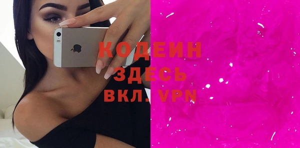 молекула духа Осташков