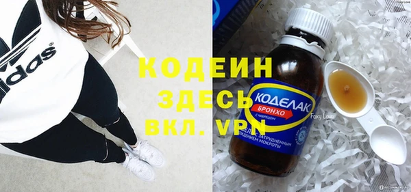 молекула духа Осташков
