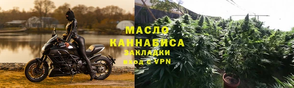 молекула духа Осташков