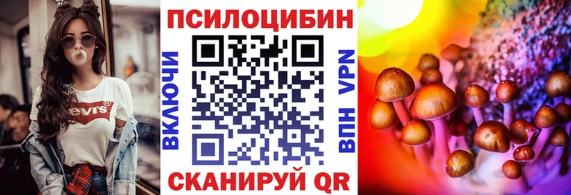 Галлюциногенные грибы Psilocybine cubensis  цена   Курчатов 
